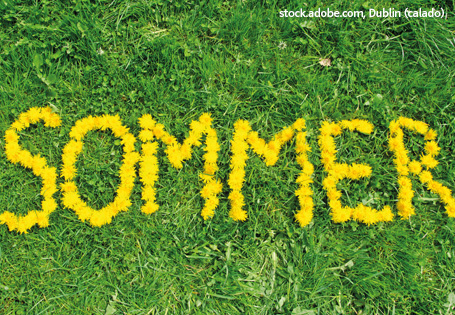 Nachhaltig durch den heißen Sommer