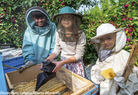 Summ, summ, summ: Bienen-AGs an Schulen
