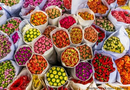 Unterrichtsimpuls: Globalisierung im Blumenhandel