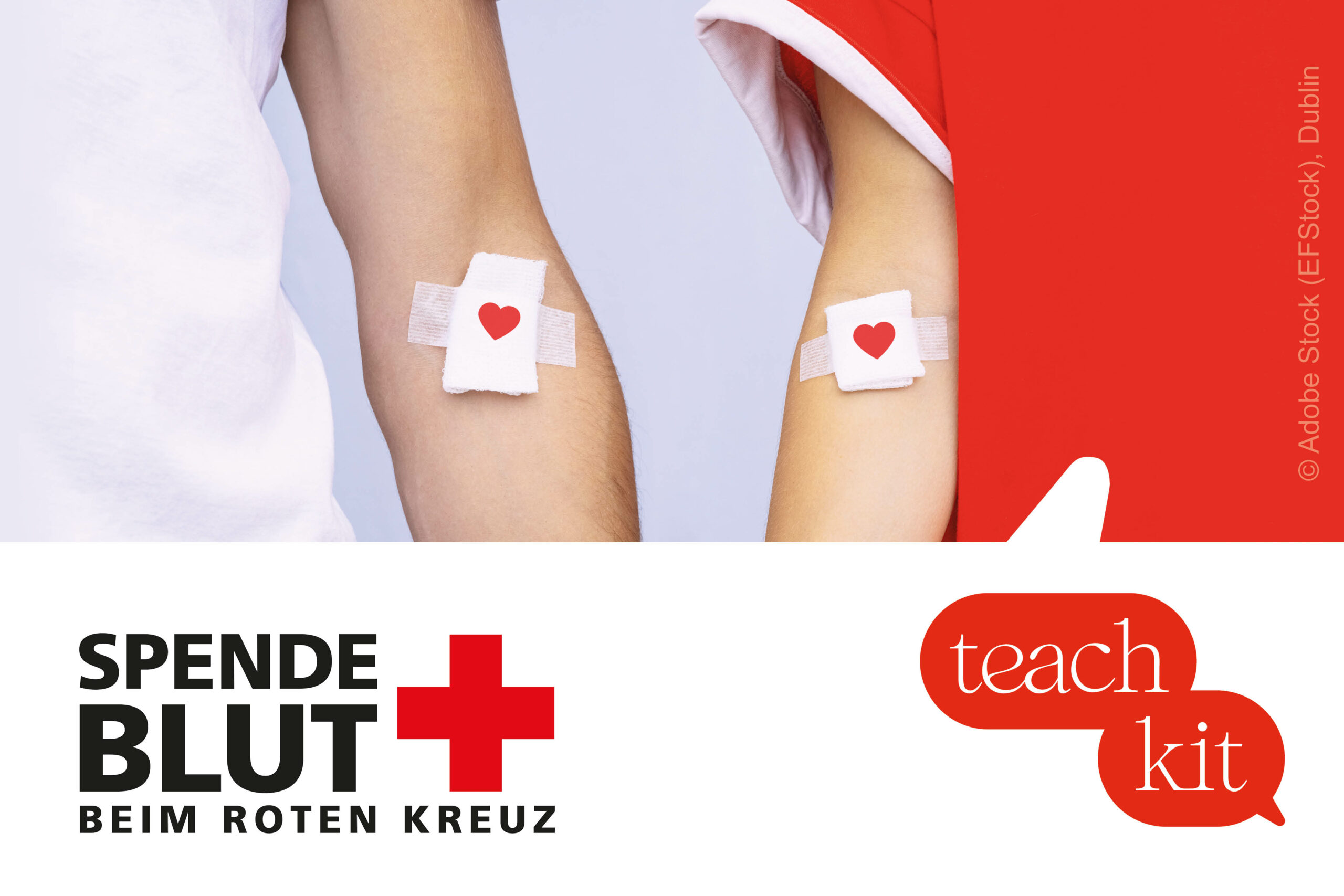 Beitragsbild teachkit Blut & Blutspende
