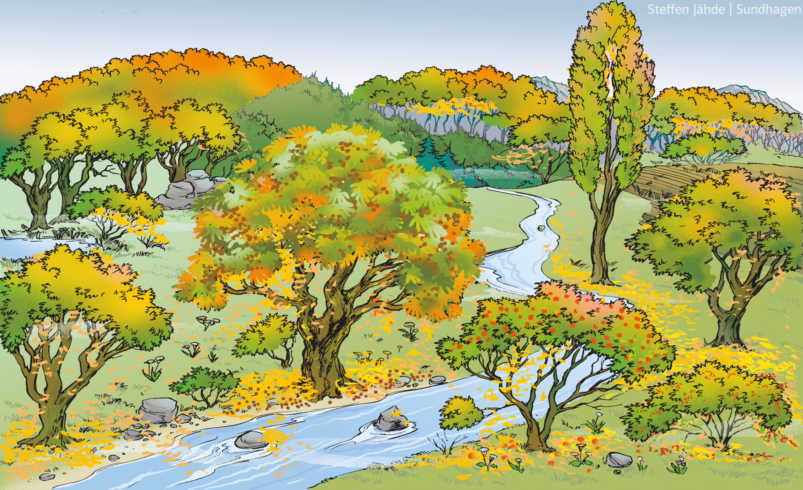 Waldboden Herbstlandschaft