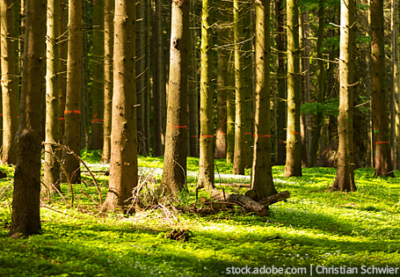 Mensch und Natur – Problemsituationen im Unterricht