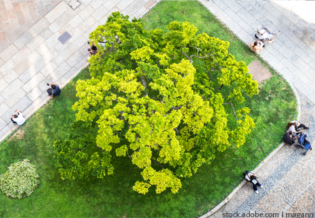 Nachhaltige Stadtgrün-Analyse: Frühling in der Stadt