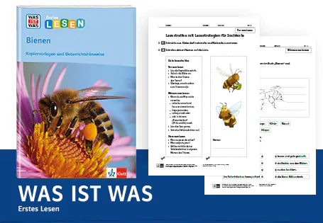 Leseförderung mit WAS IST WAS Bienen