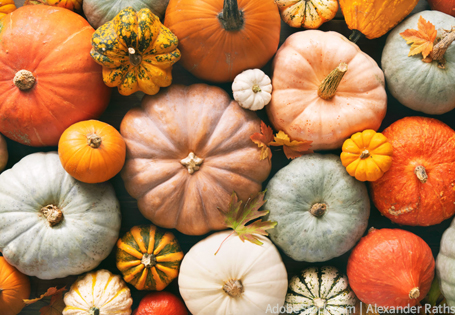 Erntedank & Halloween: zwischen Tradition und Konsum